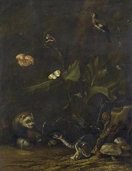 Animals and Plants, 1650-1677. Creator: Anthonie van Borssom