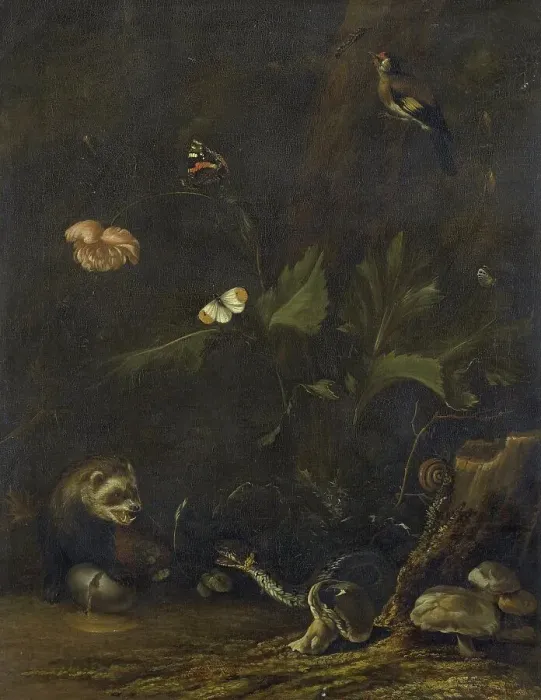 Framed Print : Animals and Plants, 1650-1677. Creator: Anthonie van Borssom Framed Print : Animals and Plants, 1650-1677. Creator: Anthonie van Borssom