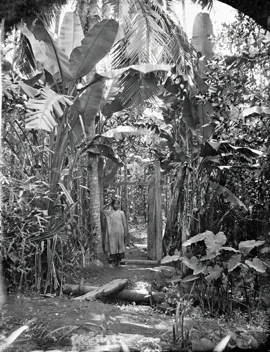 Framed Print : Annam, Cochin China (Vietnam), 1867. Creator: John Thomson Framed Print : Annam, Cochin China (Vietnam), 1867. Creator: John Thomson
