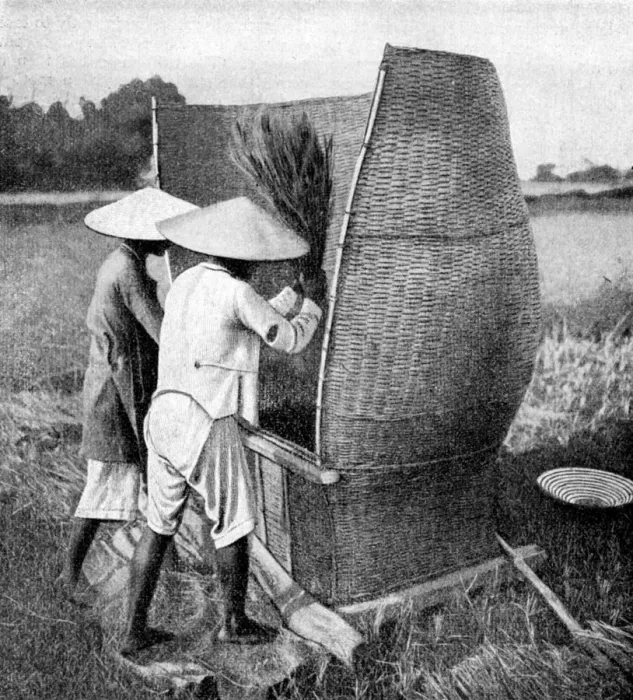 Framed Print : The Annamese way of reaping and threshing rice, Annam, Vietnam, 1922