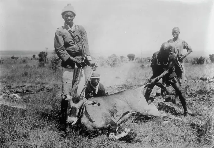 Framed Print : Antelope killed in Africa, between c1915 and c1920. Creator: Bain News Service Framed Print : Antelope killed in Africa, between c1915 and c1920. Creator: Bain News Service