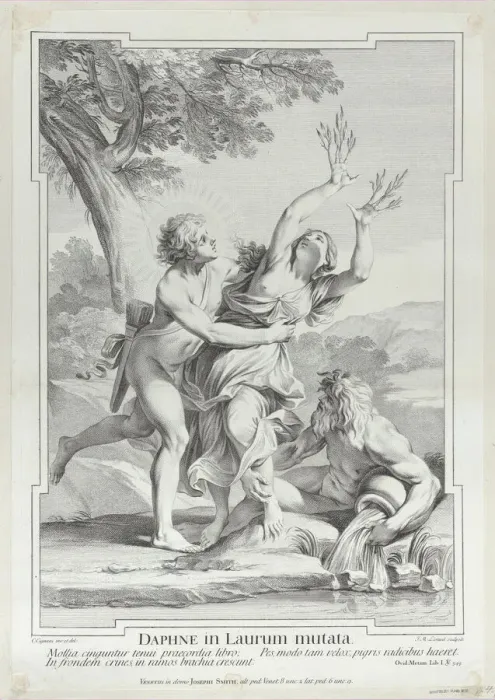 Framed Print : Apollo and Daphne, 1715-96. Creator: Jean-Etienne Liotard Framed Print : Apollo and Daphne, 1715-96. Creator: Jean-Etienne Liotard