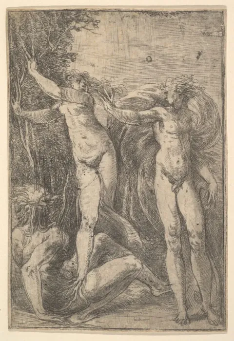 Framed Print : Apollo and Daphne, ca. 1538-40. Creator: Andrea Schiavone Framed Print : Apollo and Daphne, ca. 1538-40. Creator: Andrea Schiavone