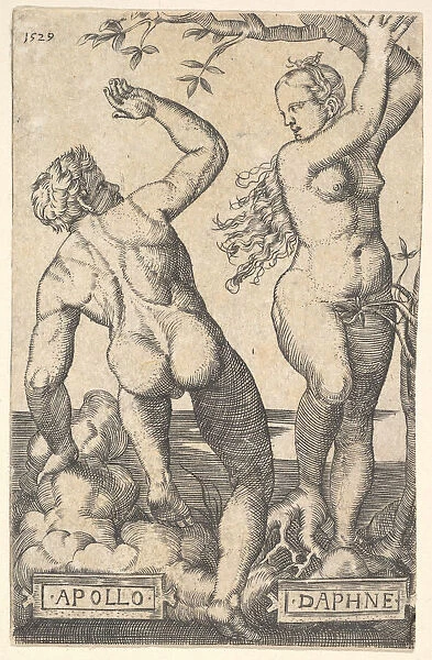 Apollo and Daphne (reverse copy). n. d. Creator: Barthel Beham