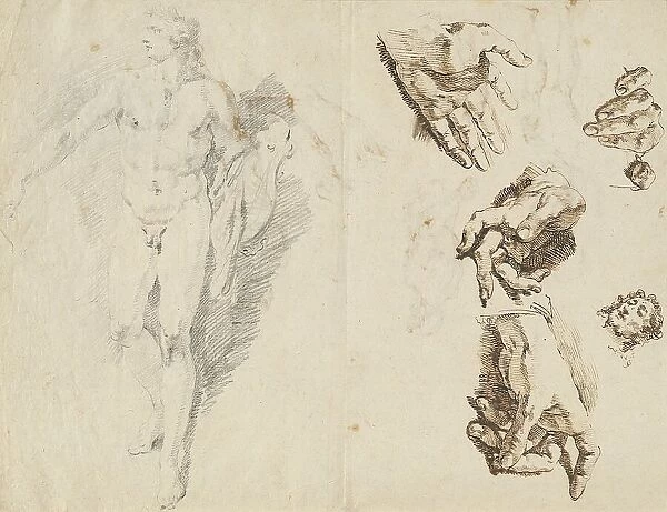 Apollo and Studies of the Artist's Own Hand [recto], 1730 / 1732. Creator: Francesco Fontebasso