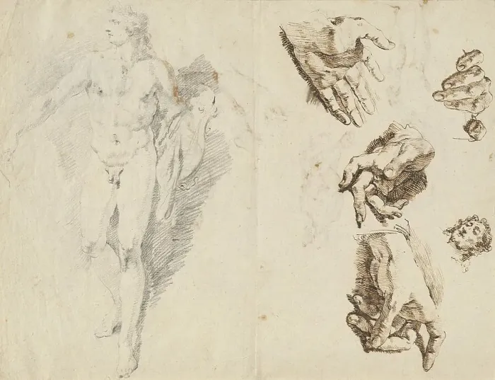 Framed Print : Apollo and Studies of the Artist's Own Hand [recto], 1730 / 1732. Creator: Francesco Fontebasso