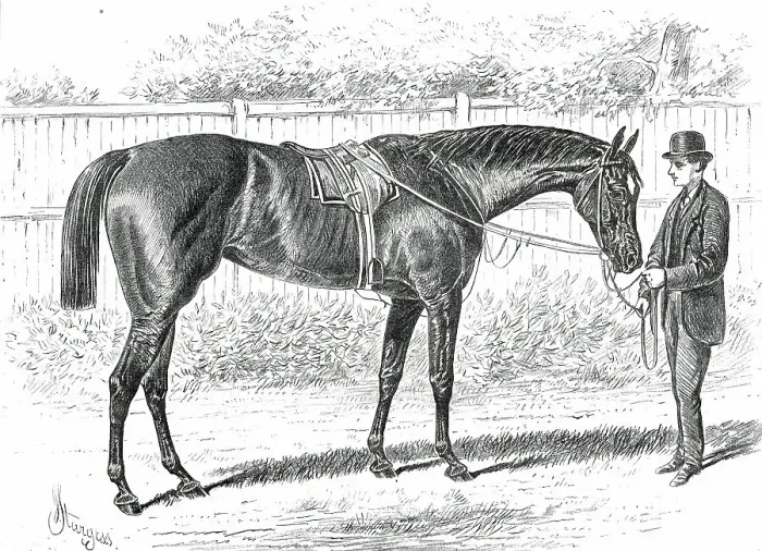 Framed Print : Apology, the Winner of the Gold Cup at Ascot, 1876. Creator: John Sturgess Framed Print : Apology, the Winner of the Gold Cup at Ascot, 1876. Creator: John Sturgess