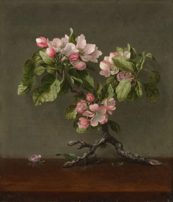Framed Print : Apple Blossoms, 1873. Creator: Martin Johnson Heade (American, 1819-1904) Framed Print : Apple Blossoms, 1873. Creator: Martin Johnson Heade (American, 1819-1904)