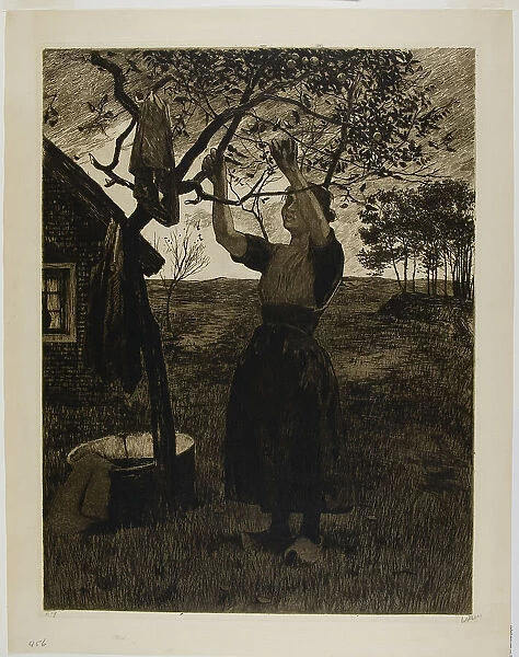 The Apple Tree, c. 1885. Creator: Willem Witsen