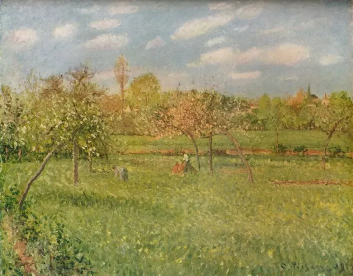 Framed Print : Apple Trees at Eragny, Morning Sunshine, c1896. Artist: Camille Pissarro Framed Print : Apple Trees at Eragny, Morning Sunshine, c1896. Artist: Camille Pissarro