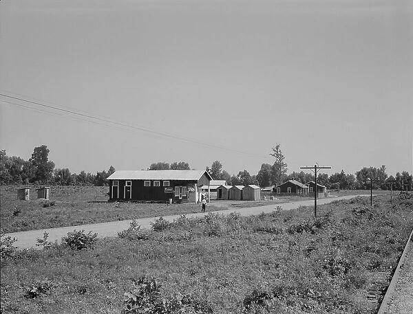 Approach to the Delta cooperative farm from highway, Hillhouse, Mississippi, 1937. Creator: Dorothea Lange