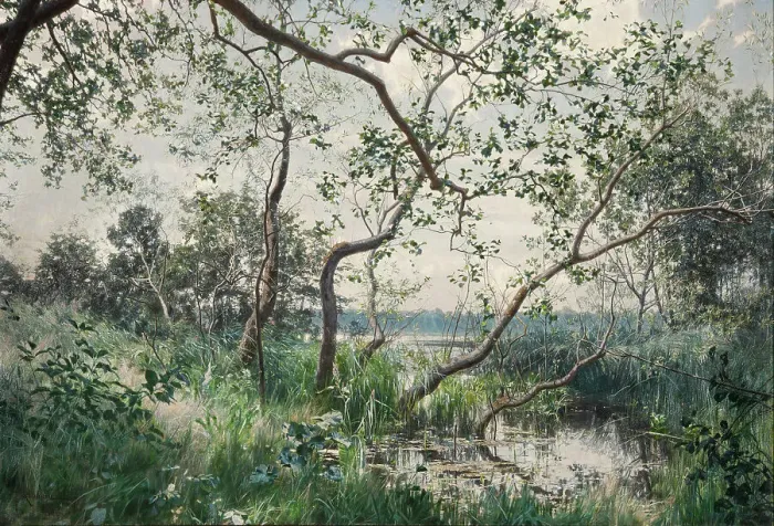 Framed Print : Aquatic Vegetation - Motif from Ostergotland, 1885. Creator: Johan Krouthén Framed Print : Aquatic Vegetation - Motif from Ostergotland, 1885. Creator: Johan Krouthén