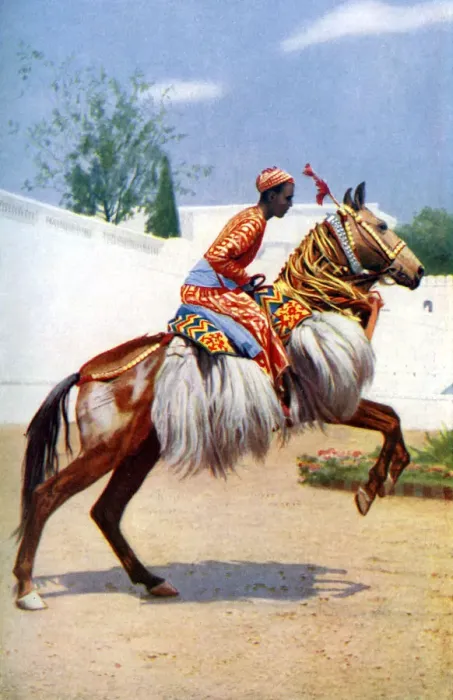 Framed Print : An Arab dancing horse, Udaipur, India, 1922. Artist: Herbert Ponting Framed Print : An Arab dancing horse, Udaipur, India, 1922. Artist: Herbert Ponting