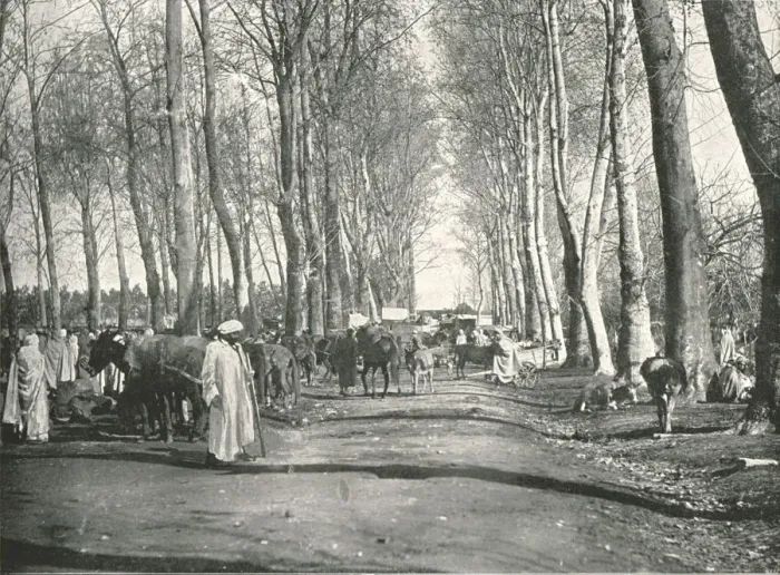 Framed Print : Arab fair and market, Boufarik, Algeria, 1895. Creator: Poulton & Co Framed Print : Arab fair and market, Boufarik, Algeria, 1895. Creator: Poulton & Co