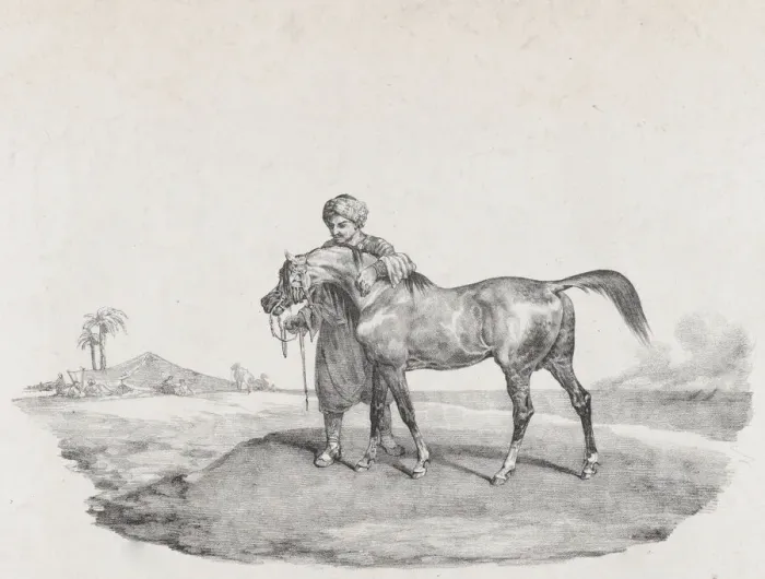 Framed Print : An Arabian Horse, 1821. Creators: Theodore Gericault, Charles Joseph Hullmandel Framed Print : An Arabian Horse, 1821. Creators: Theodore Gericault, Charles Joseph Hullmandel