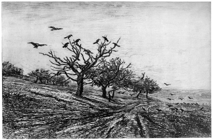 Framed Print : Arbre a Corbeaux, 1840-1875, (1924). Artist: Charles Francois Daubigny Framed Print : Arbre a Corbeaux, 1840-1875, (1924). Artist: Charles Francois Daubigny
