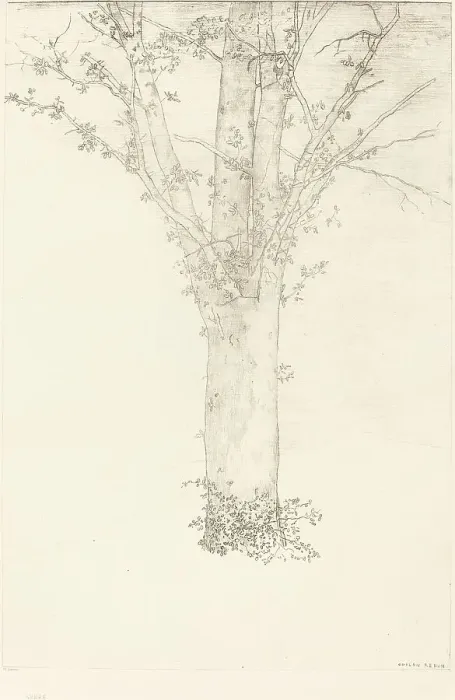Framed Print : Arbre (Tree), 1892. Creator: Odilon Redon Framed Print : Arbre (Tree), 1892. Creator: Odilon Redon