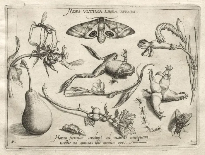 Framed Print : Archetypes and Studies: Death is the line that marks the end of all (Part II, plate 5), 1592 Framed Print : Archetypes and Studies: Death is the line that marks the end of all (Part II, plate 5), 1592