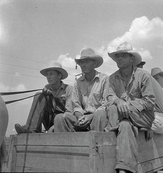 Arkansas sharecroppers going home, Near Blytheville, Arkansas, 1936. Creator: Dorothea Lange