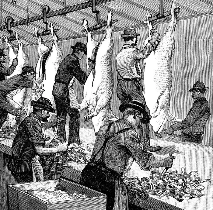 Framed Print : Armour Companys pig slaughterhouse, Chicago, Illinois, USA, 1892 Framed Print : Armour Companys pig slaughterhouse, Chicago, Illinois, USA, 1892