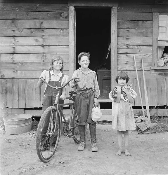 Three of the four Arnold children, Michigan Hill, Western Washington, 1939. Creator: Dorothea Lange