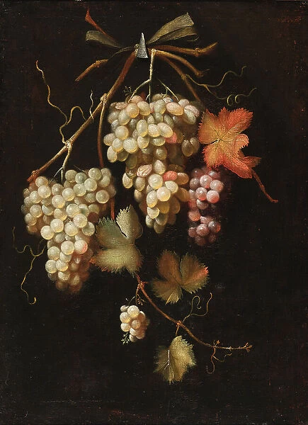 Arrangement of dark and white grapes. Creator: Everbroeck, Frans van (1637 / 39-1676 / 93)
