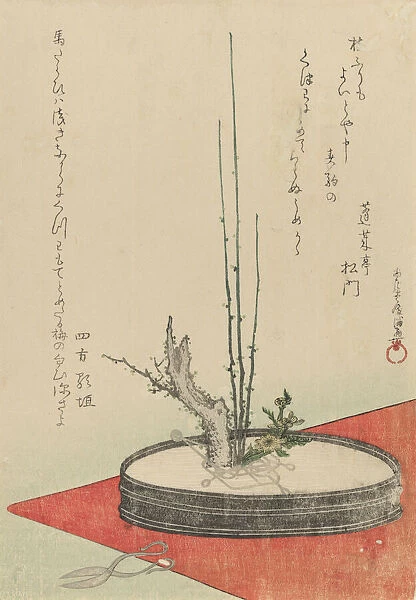 Arrangement of Plum, Fukujuso (Adonis Flower), and Scissors, 1798. Creator: Kubo Shunman
