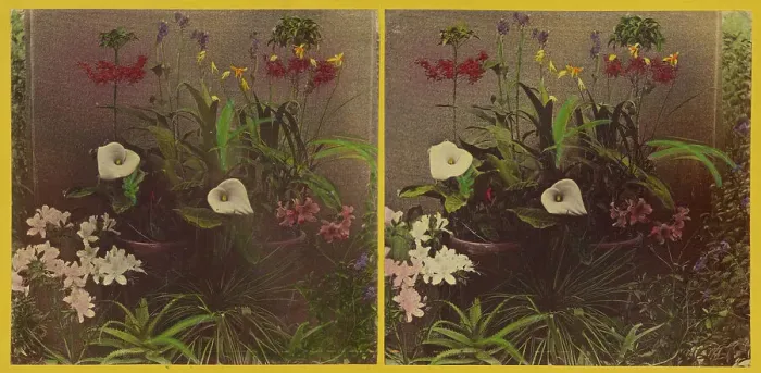 Framed Print : An array of flowers, about 1865-1875. Creator: Benjamin West Kilburn Framed Print : An array of flowers, about 1865-1875. Creator: Benjamin West Kilburn