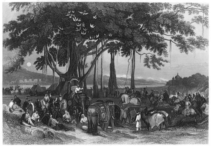 Framed Print : The arrival of the contingent force of the Sikh irregular cavalry, India, c1860