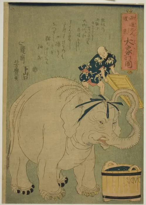 Framed Print : Arrival of the Europeans: The Great Elephant (Yoroppajin torai, Daizo no zu), 1863 Framed Print : Arrival of the Europeans: The Great Elephant (Yoroppajin torai, Daizo no zu), 1863