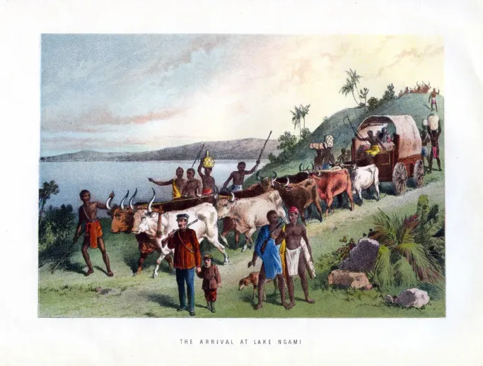 Framed Print : The Arrival at Lake Ngami, 19th century Framed Print : The Arrival at Lake Ngami, 19th century