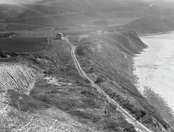 Artichoke farms reach to the water's edge, near Half Moon Bay, California coast, 1938. Creator: Dorothea Lange