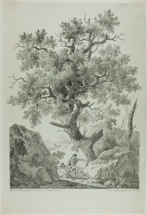 Framed Print : Artist in a Rocky Landscape, 1816. Creator: Pierre Antoine Mongin Framed Print : Artist in a Rocky Landscape, 1816. Creator: Pierre Antoine Mongin