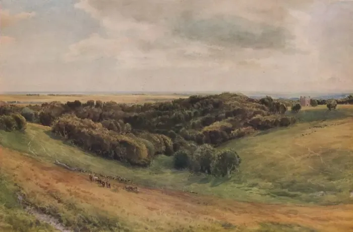 Framed Print : Arundel Park, 1874. Artist: Thomas Collier Framed Print : Arundel Park, 1874. Artist: Thomas Collier