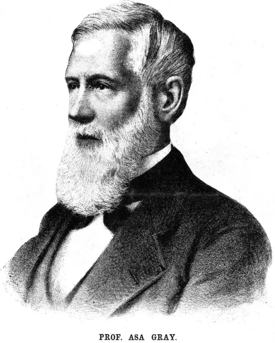 Framed Print : Asa Gray, American botanist, 1888 Framed Print : Asa Gray, American botanist, 1888
