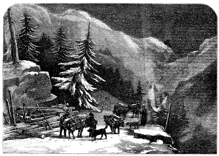 Framed Print : The Ascent of the Great St. Bernard - loading wood for the Hospice near St. Pierre, 1858. Creator: Unknown Framed Print : The Ascent of the Great St. Bernard - loading wood for the Hospice near St. Pierre, 1858. Creator: Unknown