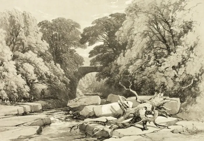 Framed Print : Ash and Alder on the Greta, from The Park and the Forest, 1841 Framed Print : Ash and Alder on the Greta, from The Park and the Forest, 1841