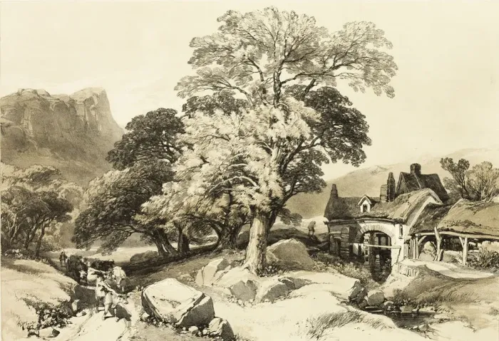 Framed Print : Ash and Oak, from The Park and the Forest, 1841. Creator: James Duffield Harding Framed Print : Ash and Oak, from The Park and the Forest, 1841. Creator: James Duffield Harding