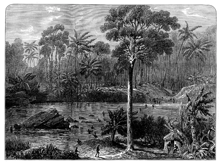 Framed Print : Ashantee Sketches: the River Prah and the Forest of Assin, 1873. Creator: Unknown