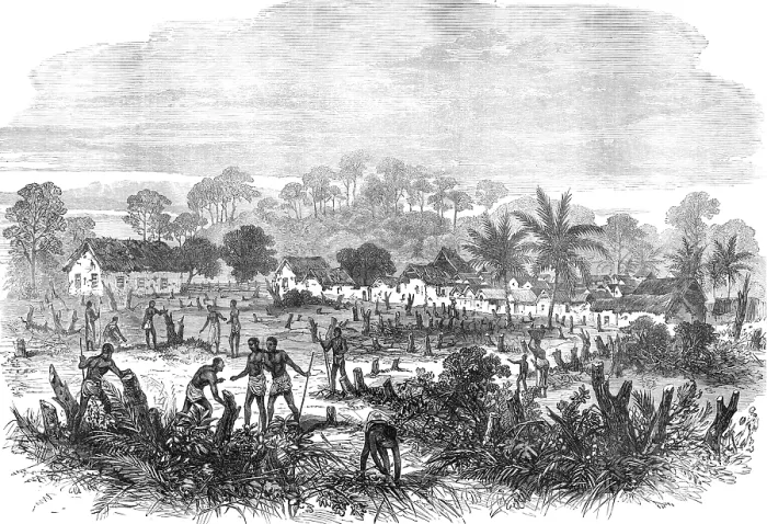 Framed Print : The Ashantee War: the battle-field of Abrakrampa - from a sketch by our special artist, 1874. Creator: Unknown Framed Print : The Ashantee War: the battle-field of Abrakrampa - from a sketch by our special artist, 1874. Creator: Unknown