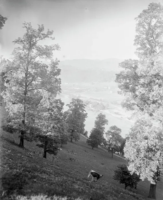 Framed Print : Asheville, N.C. between 1895 and 1910. Creator: Unknown Framed Print : Asheville, N.C. between 1895 and 1910. Creator: Unknown