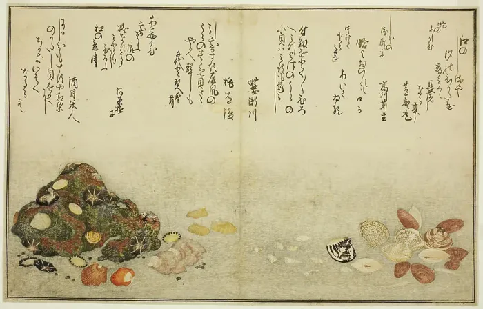 Framed Print : Ashi-gai, hamaguri, ko-gai, suzume-gai, akoya-gai, and katashi-gai, from the illustrated... 1789. Creator: Kitagawa Utamaro Framed Print : Ashi-gai, hamaguri, ko-gai, suzume-gai, akoya-gai, and katashi-gai, from the illustrated... 1789. Creator: Kitagawa Utamaro