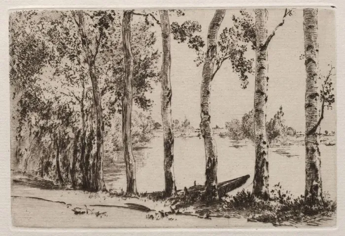 Framed Print : Aspens on the Bank of the Seine. Creator: Felix Bracquemond (French, 1833-1914) Framed Print : Aspens on the Bank of the Seine. Creator: Felix Bracquemond (French, 1833-1914)