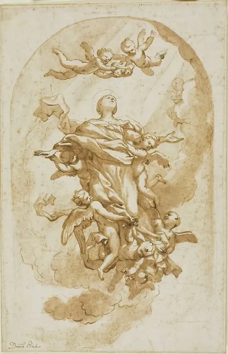 Framed Print : Assumption of the Virgin, n.d. Creator: Domenico Piola I Framed Print : Assumption of the Virgin, n.d. Creator: Domenico Piola I