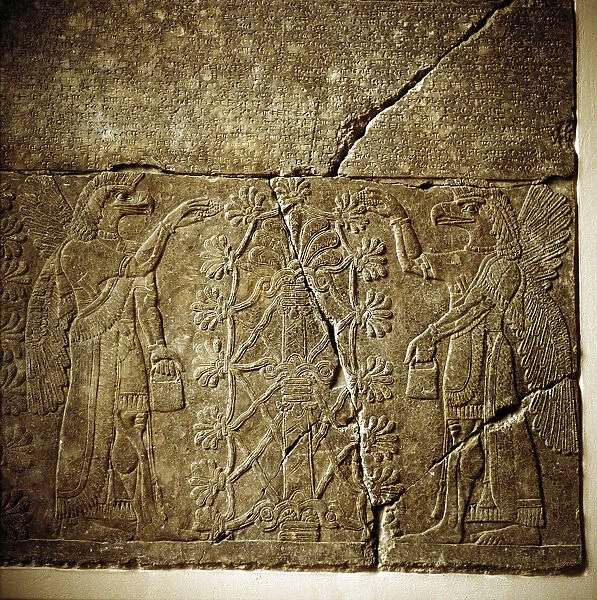 Assyrian relief of a Sacred tree flanked by two winged genies