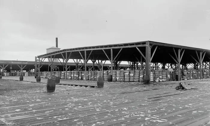 Framed Print : Atlantic Cotton Compress Company, Pensacola, Fla. between 1900 and 1906. Creator: Unknown Framed Print : Atlantic Cotton Compress Company, Pensacola, Fla. between 1900 and 1906. Creator: Unknown