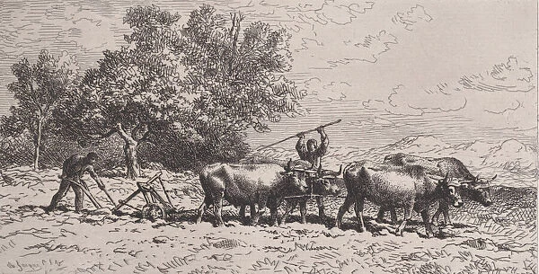 Attelage de Boeufs, 1868. Creator: Charles Emile Jacque
