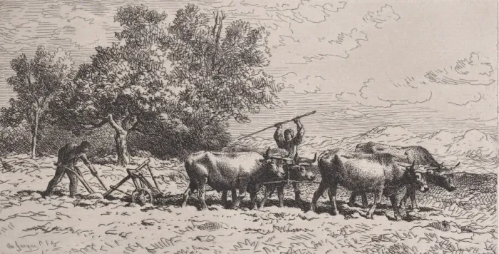 Framed Print : Attelage de Boeufs, 1868. Creator: Charles Emile Jacque Framed Print : Attelage de Boeufs, 1868. Creator: Charles Emile Jacque