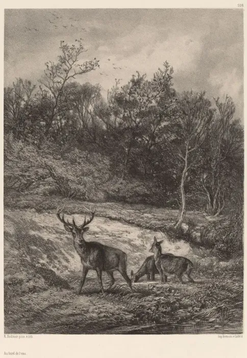 Framed Print : Au bord de l eau. Creator: Karl Bodmer Framed Print : Au bord de l eau. Creator: Karl Bodmer