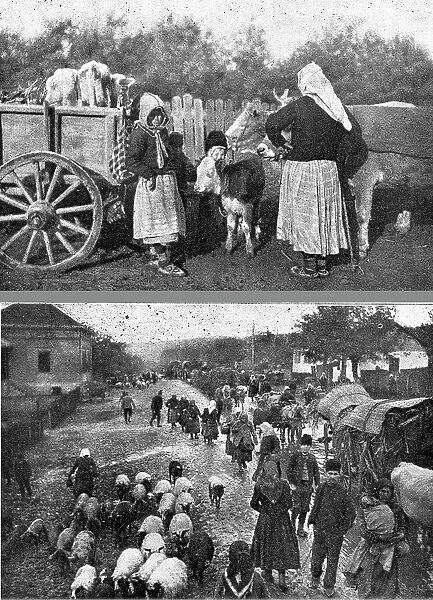 Au debut de l'Invasion de la Serbie. --Scenes de l'exode des populations serbes devant... 1916. Creator: R. Marianovitch